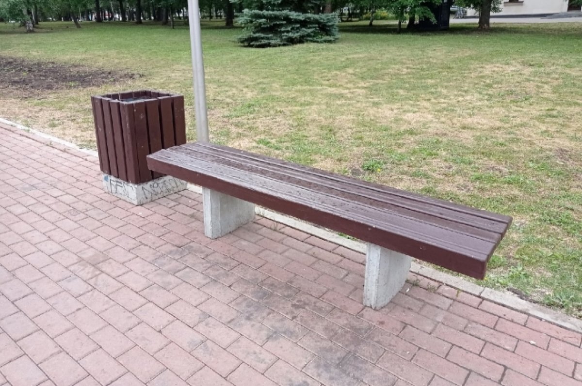    Вторая очередь обновления Центрального парка Воронежа начнется в 2023 году