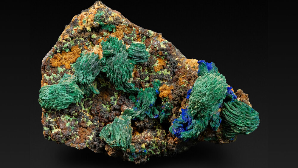     Фото: Мария Мильшина