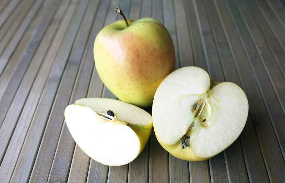 Фото: pixabay.com