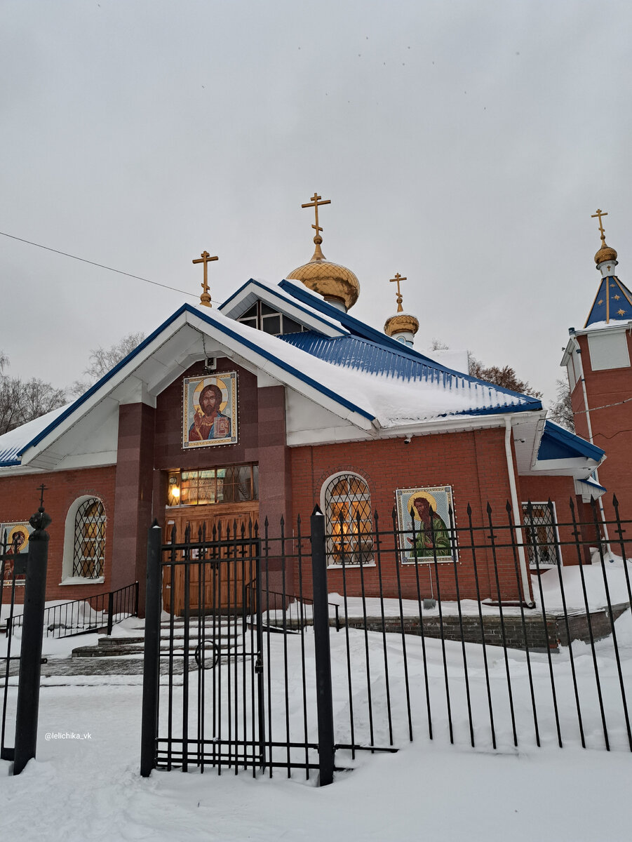 Ёлки в Березовой роще🎄 | Прогулки по городу N. | Дзен