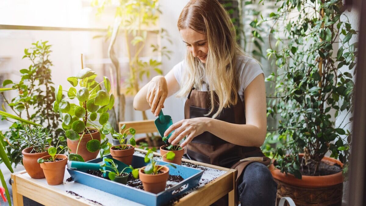    Посевной календарь© iStock.com / ozgurcankaya