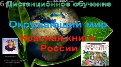 Страница 60 — ГДЗ по Окружающему миру для 2 класса Рабочая тетрадь Плешаков А.А. Часть 1.