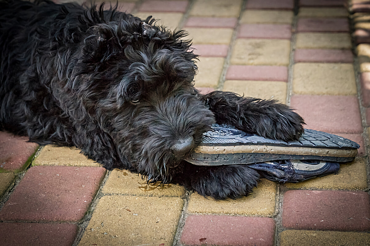 Человеку будет трудно доказать свою альфу.
