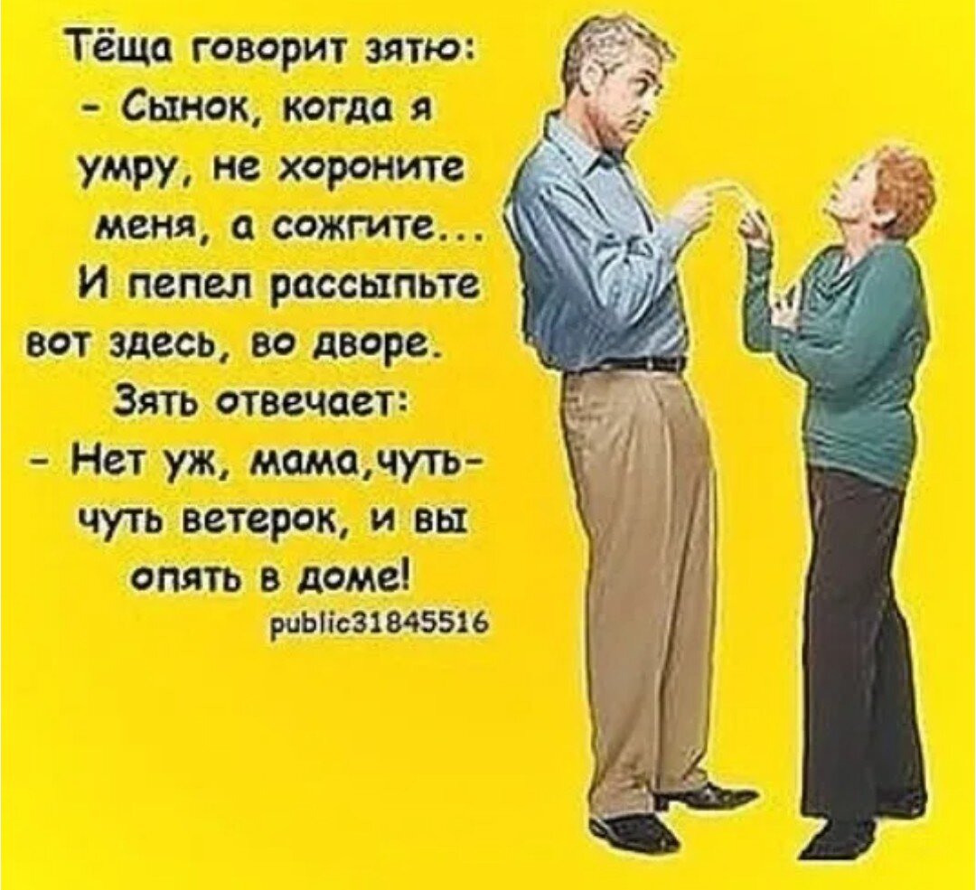 Теща и зять картинки