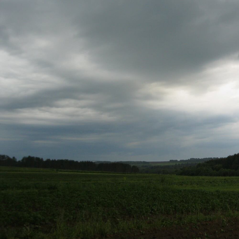 Фото Василий Мустаев