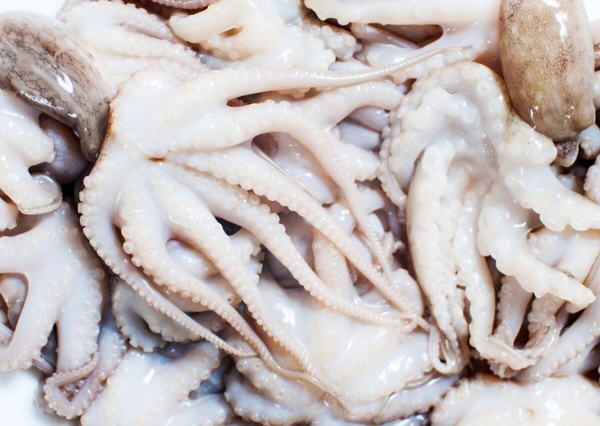  Бэби-осьминоги это очень полезный и диетический дар моря. Они продаются во многих крупных магазинах а приготовить их ОЧЕНЬ просто. Я расскажу как это сделать буквально за 5 минут!-2-3
