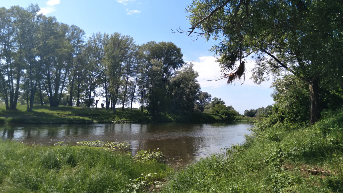 Лето, жарко, солнечно, рыбка выходит на перекаты!
