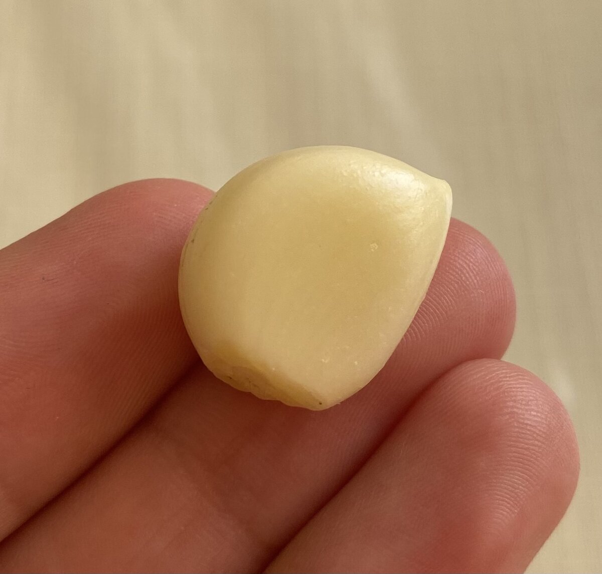 Издавна чеснок был известен как мощное целительное средство, а древние египтяне даже какое-то время не употребляли его в пищу, а использовали исключительно для лечения различных болезней. 
       До сих пор во многих странах мира чеснок выступает одним из главных компонентов в рецептах народной медицины. В Индии этим овощем лечат астму, французы спасаются им от гриппа, немцы – от туберкулёза. В Италии и Испании народные целители рекомендуют лечить с помощью чеснока заболевания кишечника, а афганцы считают его полезным при лёгких недомоганиях и усталости. 
        Чеснок содержит множество полезных веществ и является очень калорийным продуктом, сильным усилителем аппетита. Помимо наличия в составе чеснока таких важных веществ, как калий, кальций, фосфор, витаминов группы В и С, он может похвастаться высоким содержанием селена, марганца, йода, натрия и эфирных масел. 

Лечебные свойства
1. С помощью чеснока можно заметно повысить защитные функции организма, поэтому в зимний период это один из самых желанных продуктов на вашем столе.

2. Употребление чеснока на регулярной основе заметно улучшает баланс микрофлоры кишечника, нейтрализуя действие вредоносных микроорганизмов.


3. Данный продукт питания способствует нормализации уровня холестерина в крови. Благодаря этому можно наладить работу сердечно-сосудистой системы.

4. Чеснок стоит включить в свой рацион питания тем, кто хочет ускорить процесс обмена веществ в организме.

5. Чеснок способствует общему оздоровлению организма и повышению жизненного тонуса.

А теперь поговорим о вреде
Этот овощ обладает сильнодействующими веществами, переизбыток которых может привести к нежелательным последствиям и лишь усугубит ситуацию. При поедании и тем более лечении чесноком необходимо быть крайне осторожным и не злоупотреблять. Также следует ограничить употребление этого овоща в следующих случаях: на голодный желудок; за неделю до предстоящей операции, так как он влияет на свёртываемость крови; при панкреатитах, жёлчно-каменной болезни, заболеваниях печени, поскольку он сильно стимулирует работу пищеварительной системы и может привести к спазму и изжоге; при ожирении, так как он вызывает аппетит; при эпилепсии, поскольку он может спровоцировать приступ.