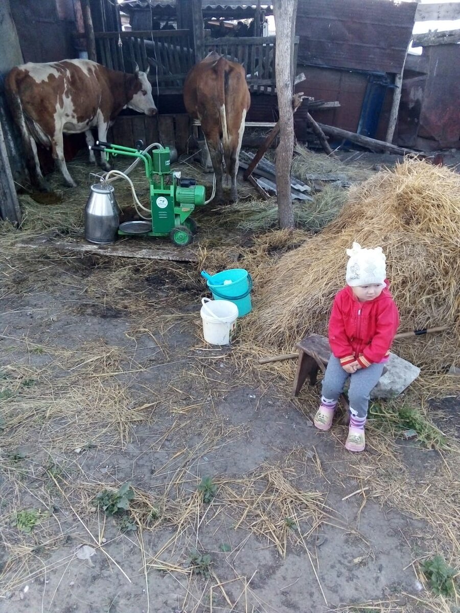 Доча с мамой в 5утра вышла доить коров