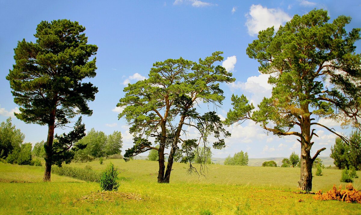 Фотография, стихотворение Василия Глуцкого