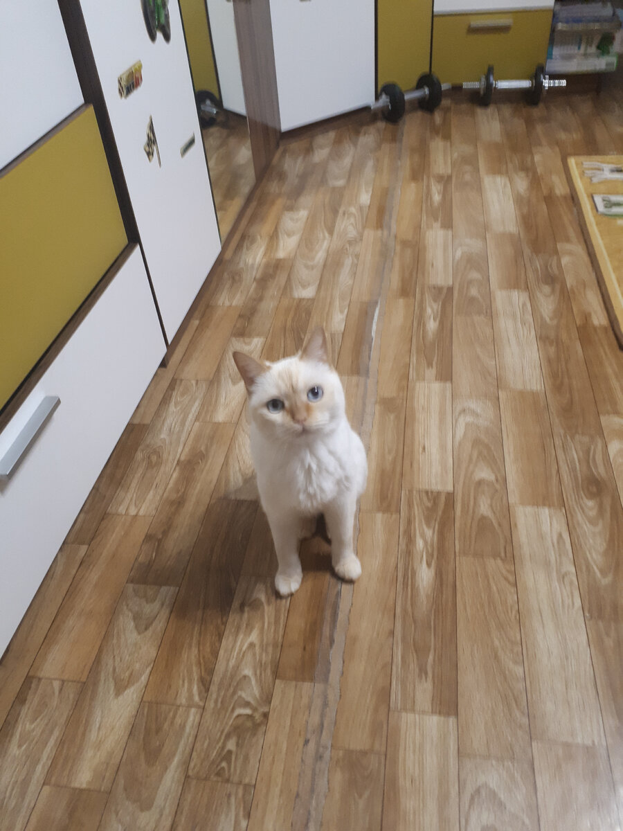 немножко расплывчато, но я с трудом выдерживаю ВЗГЛЯД