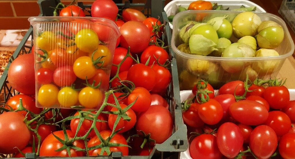 Томаты из теплицы и физалис