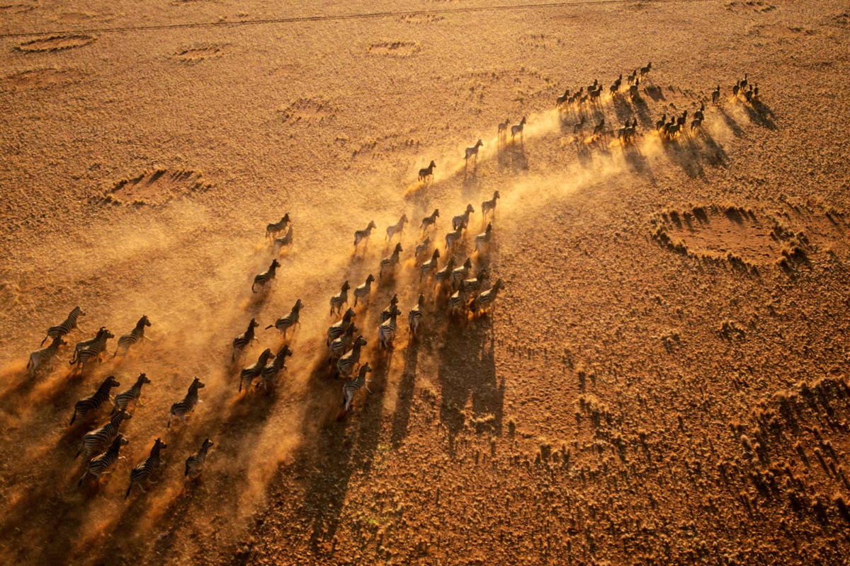 Пустыня в южной африке 8. Намибия пустыня калахари. Полупустыня калахари. Южная африка калахари. Достопримечательности пустыни калахари.