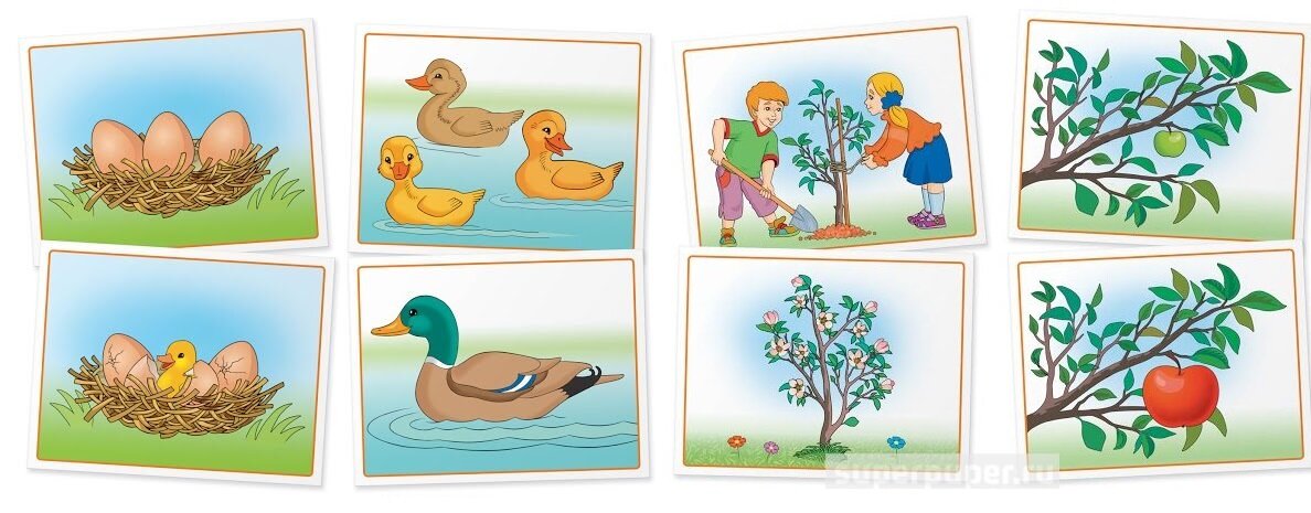 Тоже более сложный формат - требуется самостоятельно разложить карточки (картинка из открытых источников)