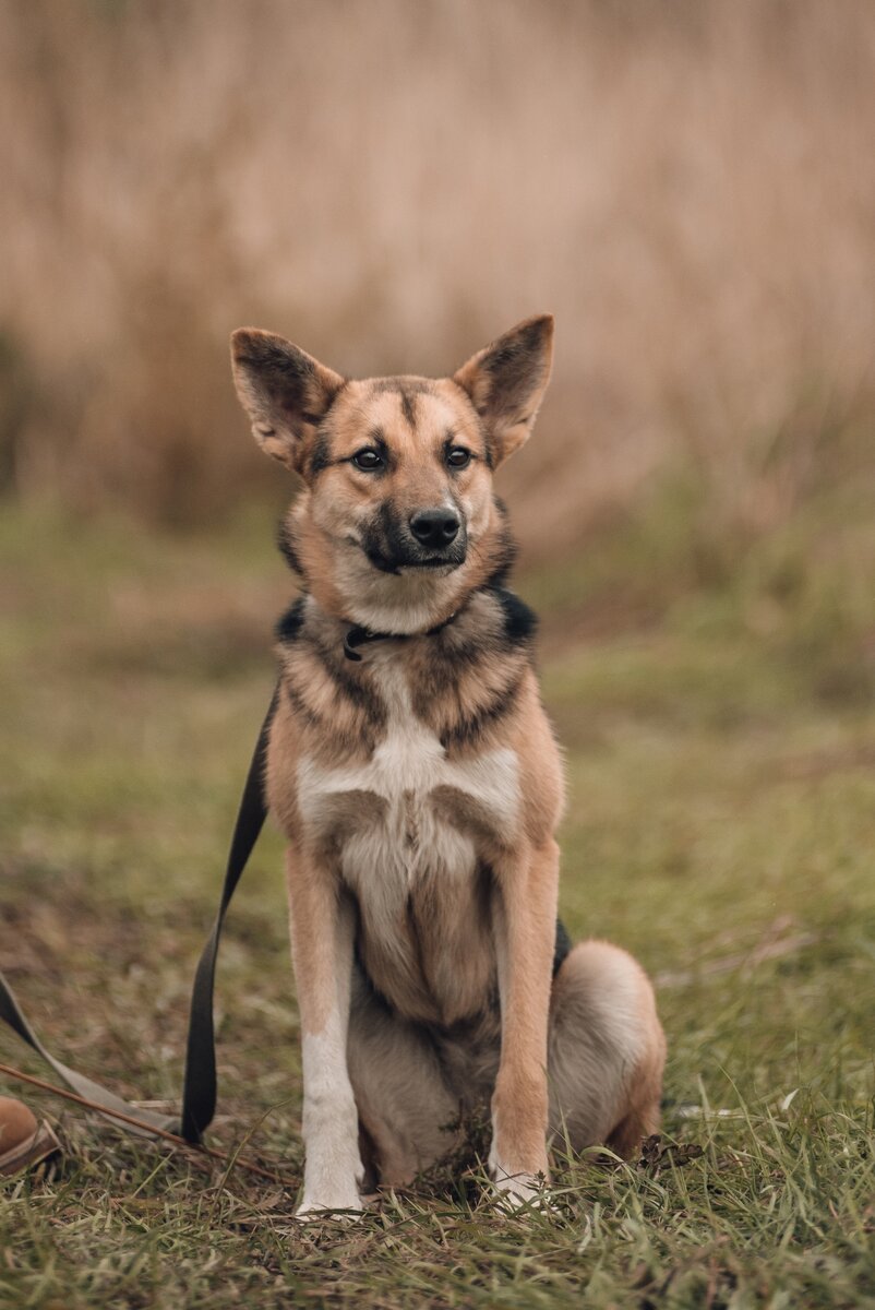 Теперь она Берта - что значит свет, светлая!