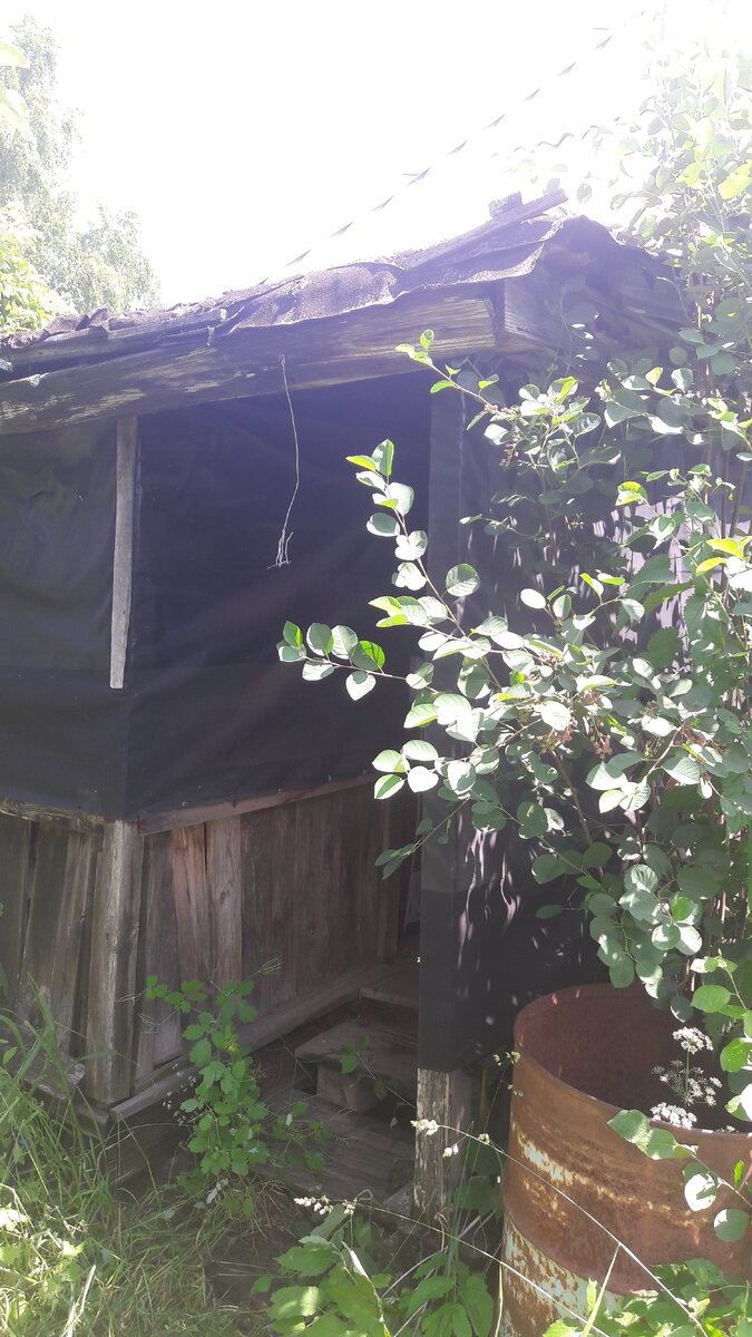 Любой заброшенный дом рано или поздно превращается в такое зрелище. Страшно. Жалко.