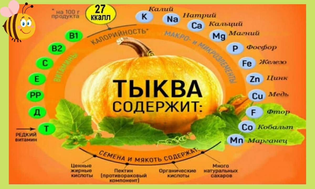 Тыква польза для организма. Тыква витамины. Чем полезна тыква. Полезные витамины в тыкве. Витамины содержащиеся в тыкве.