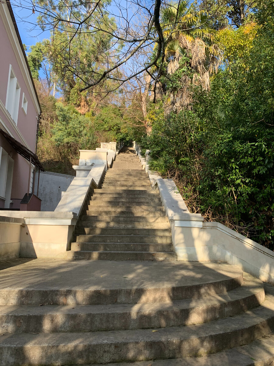 по дороге в обезьяний питомник, авторское фото