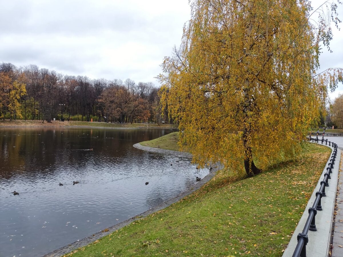 Парковая зона