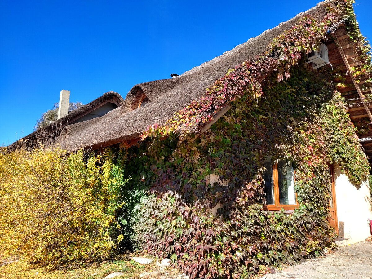 Пригород Новороссийска в конце октября.