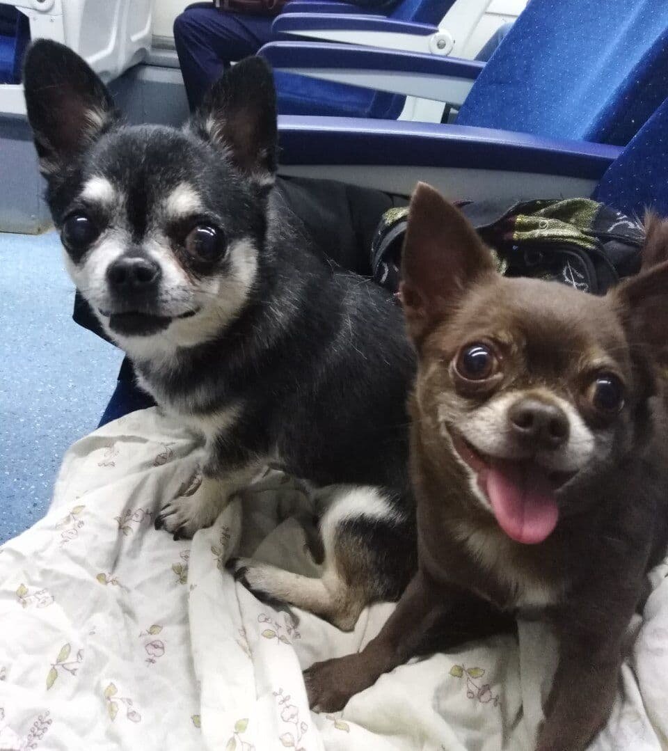 Еще вдвоем. Ничто не предвещает.