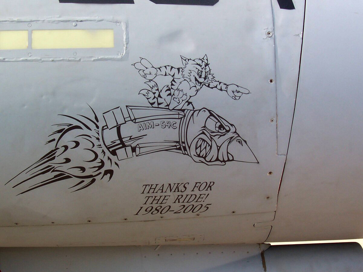 Нос-арт самолёта F-14B из VF-101 (фото взято из яндекс-картинки)