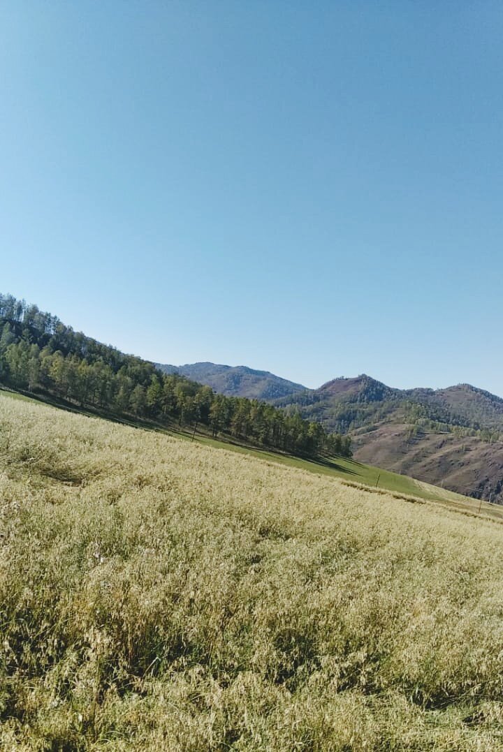 Родные места летом. Фото автора.