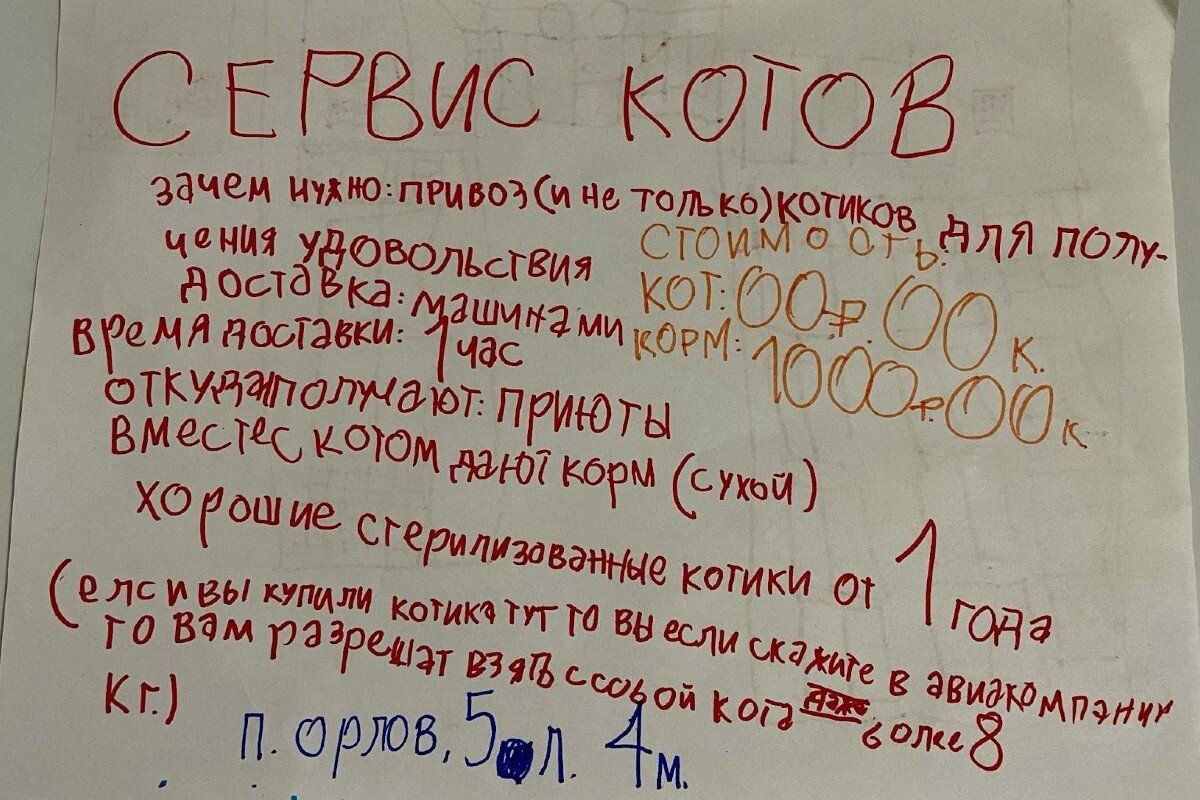 Бизнес-план для сервиса котов почти готов