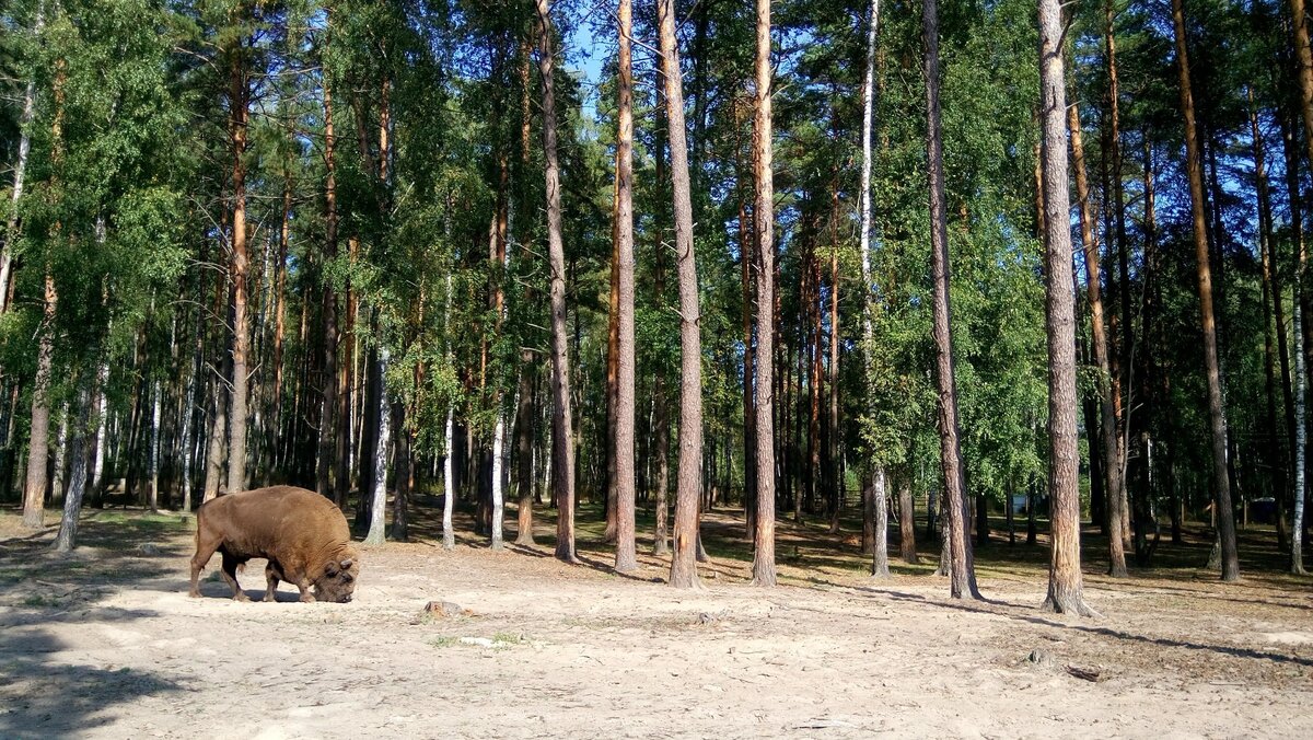 Фото взято с ресурса: tourister.ru