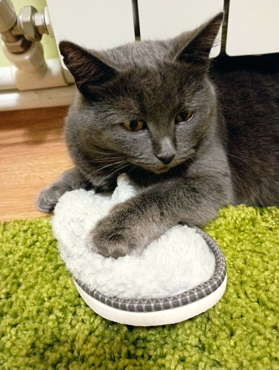 У нее какой-то грустный взгляд... 