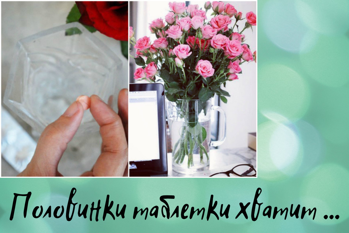 Половинки таблетки хватит, чтобы продлить цветам жизнь