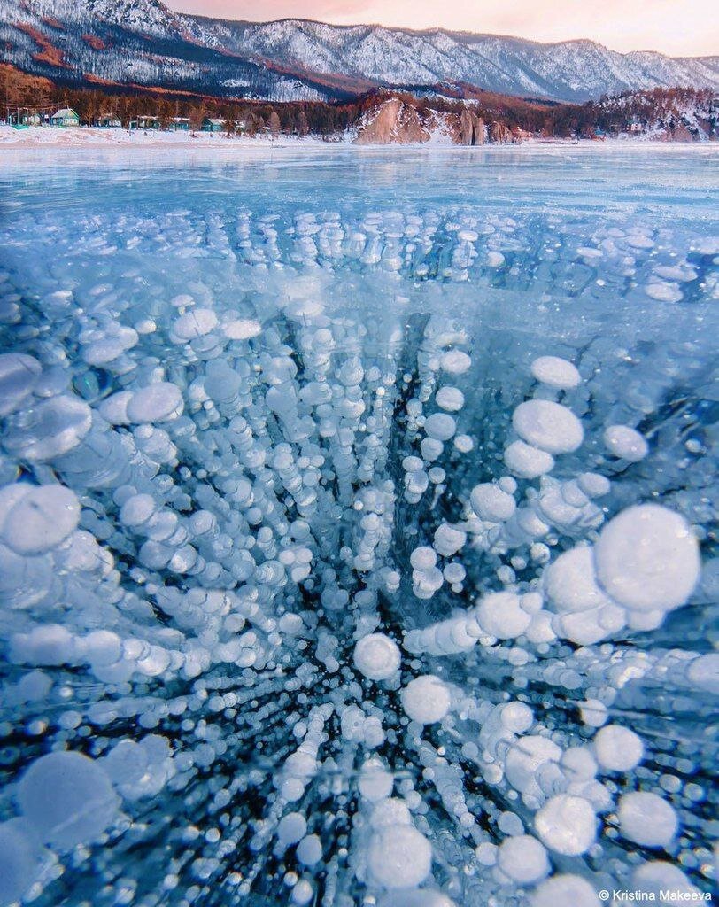 Медузки