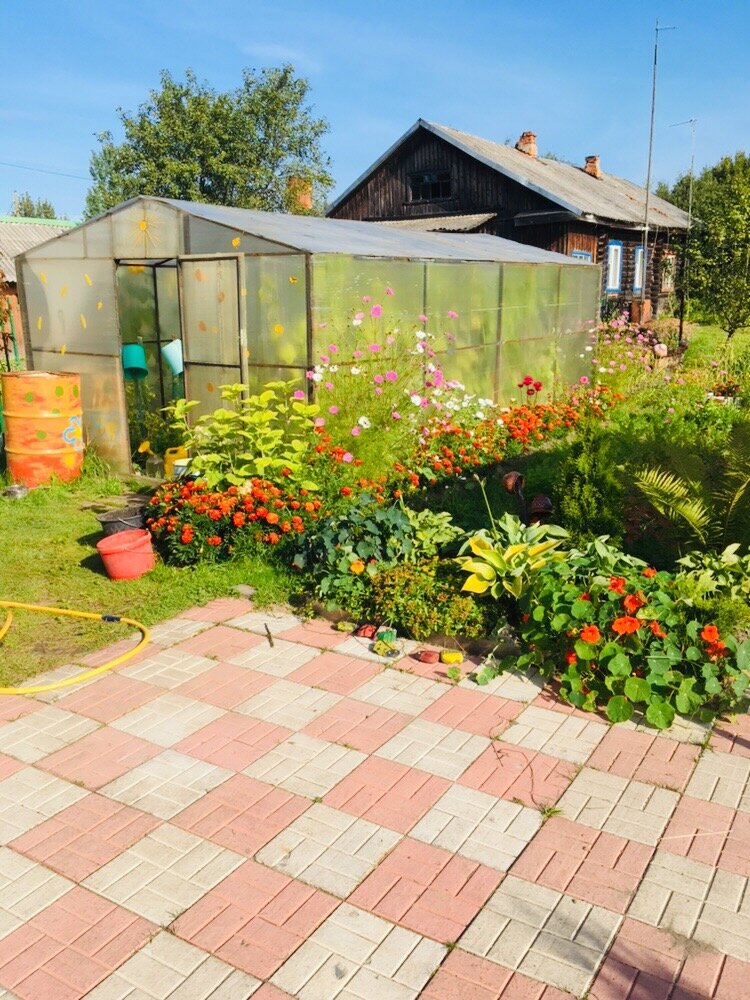 Наша теплица летом 
