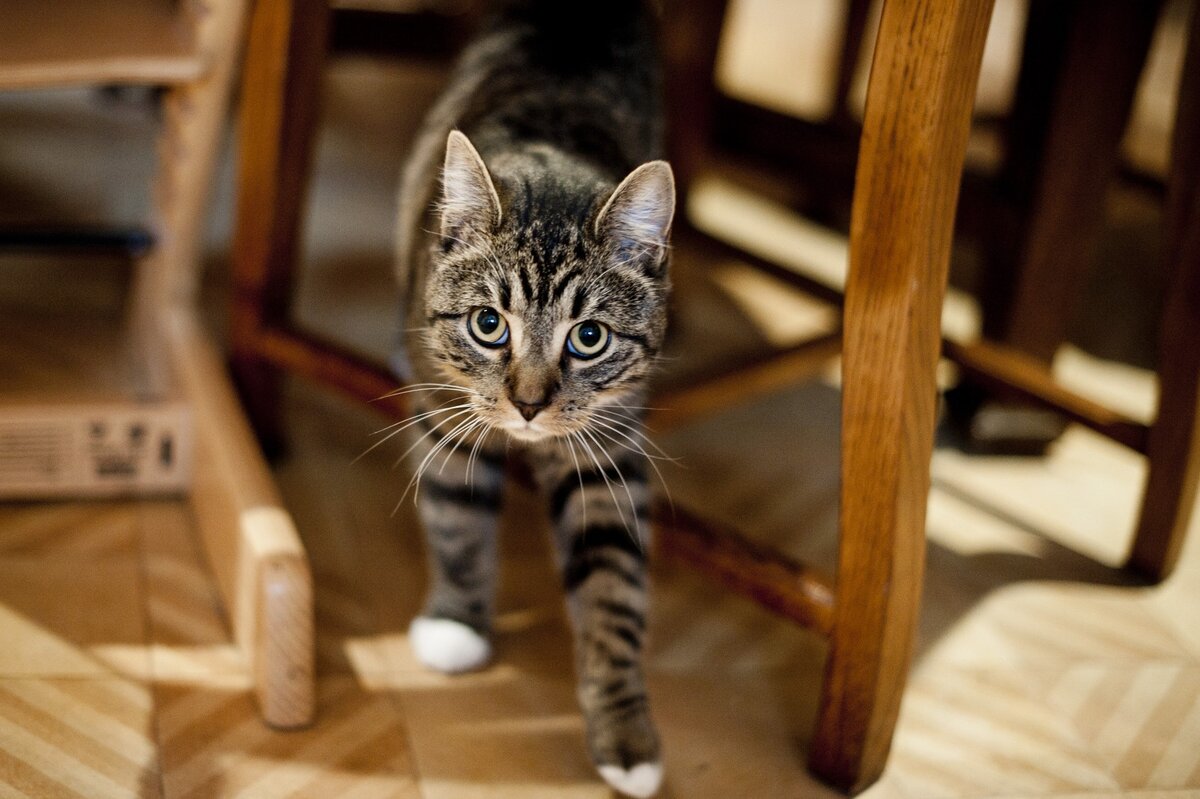 Фото из Интернета.