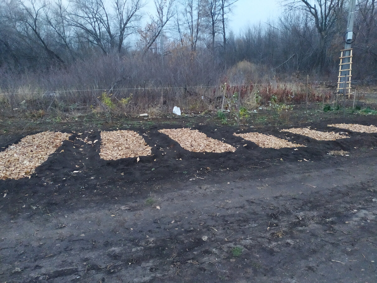 Закидала листовым опадом. Его в скором времени сдуло.