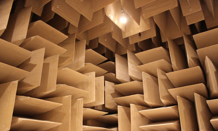 Безэховая камера 