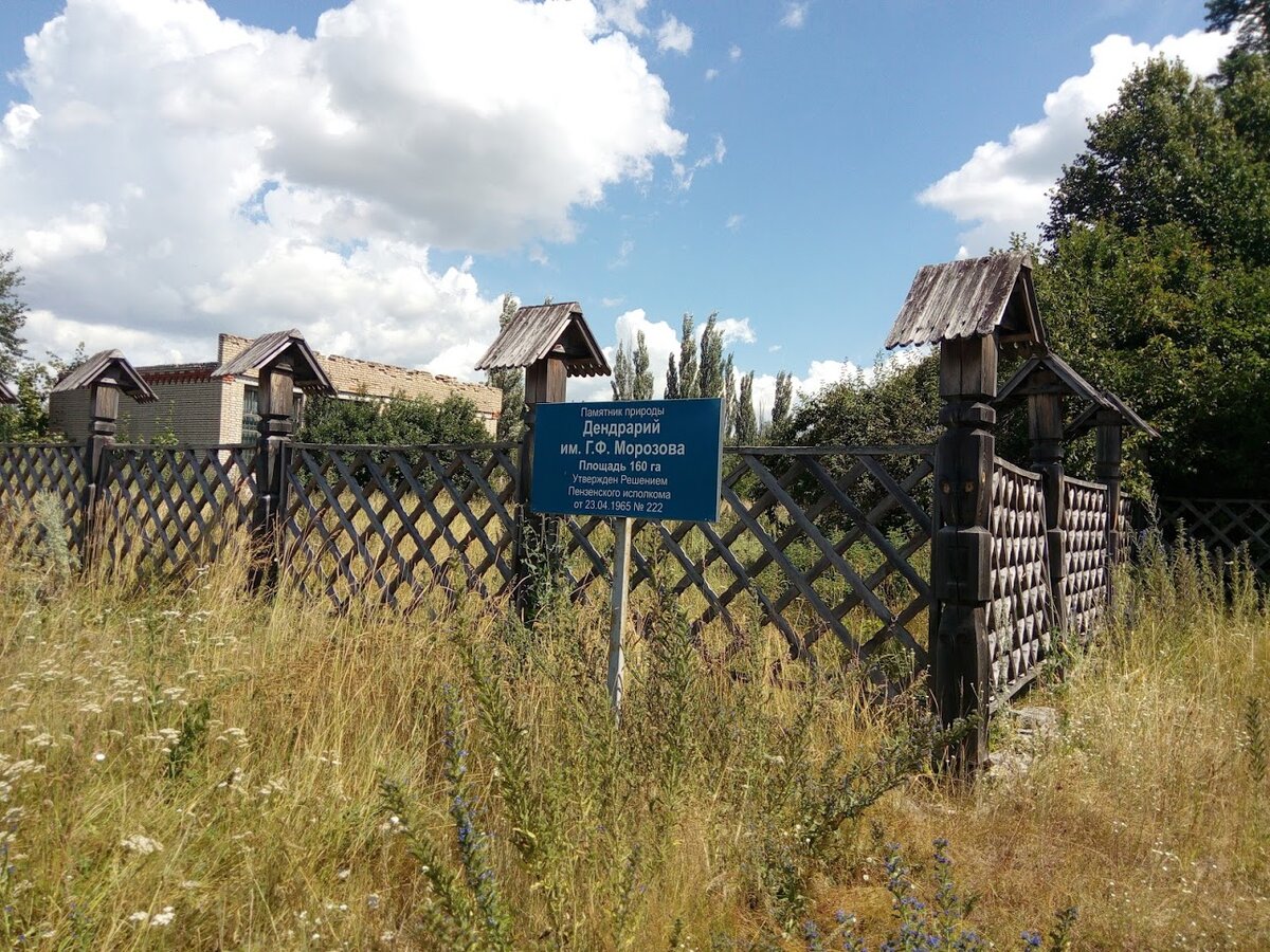 Фото с сайта www.rgo.ru