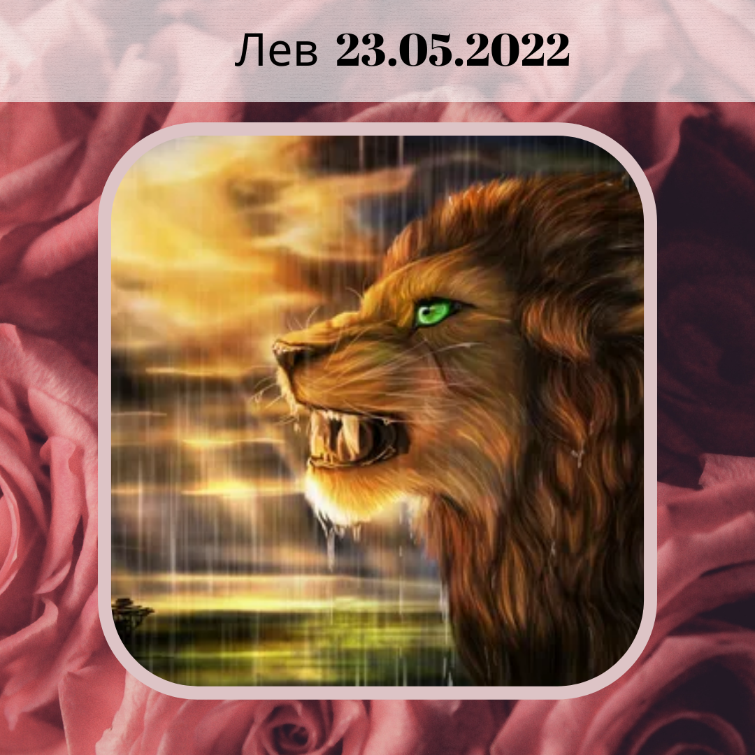 Лев - 23.05.2022