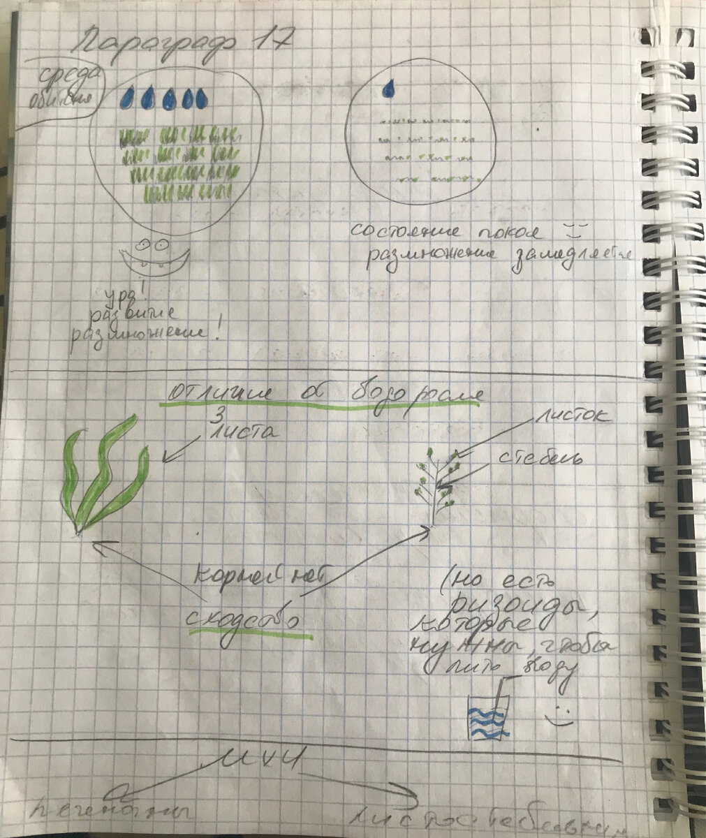 Добавьте «смайлик» для обозначения максимально благоприятных условий для развития. Это поможет быстро усвоить самую ключевую информацию. 