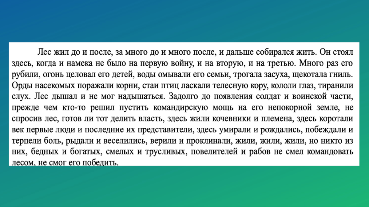 отрывок из романа