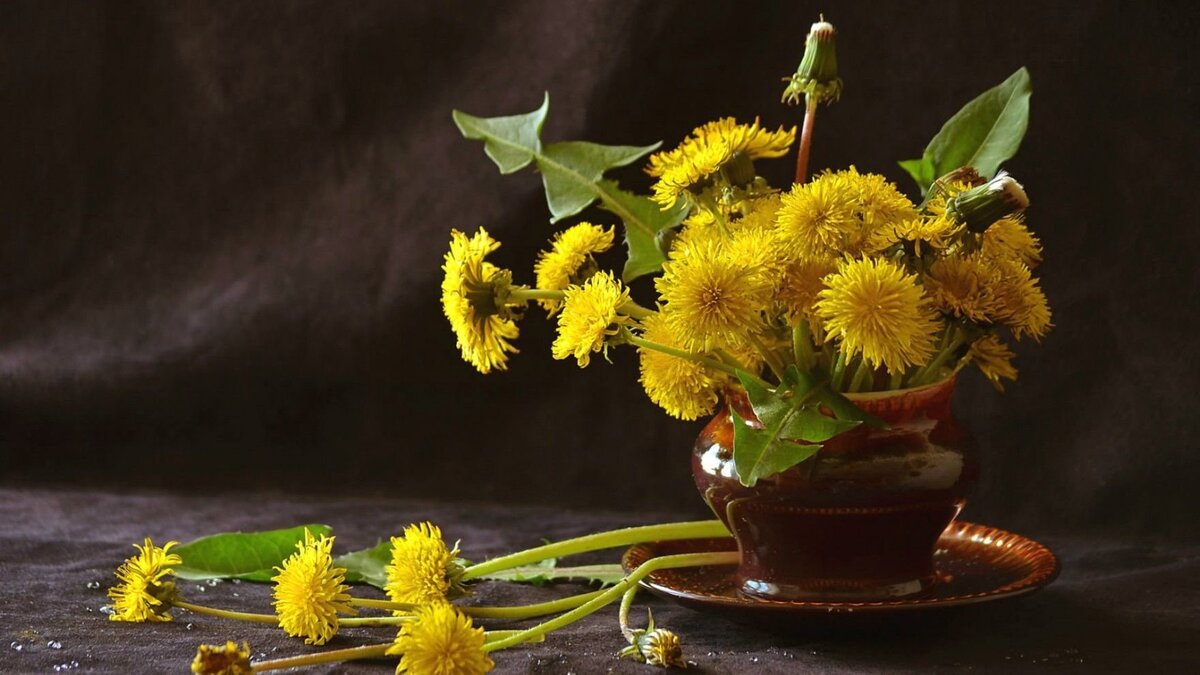 одуванчик польза