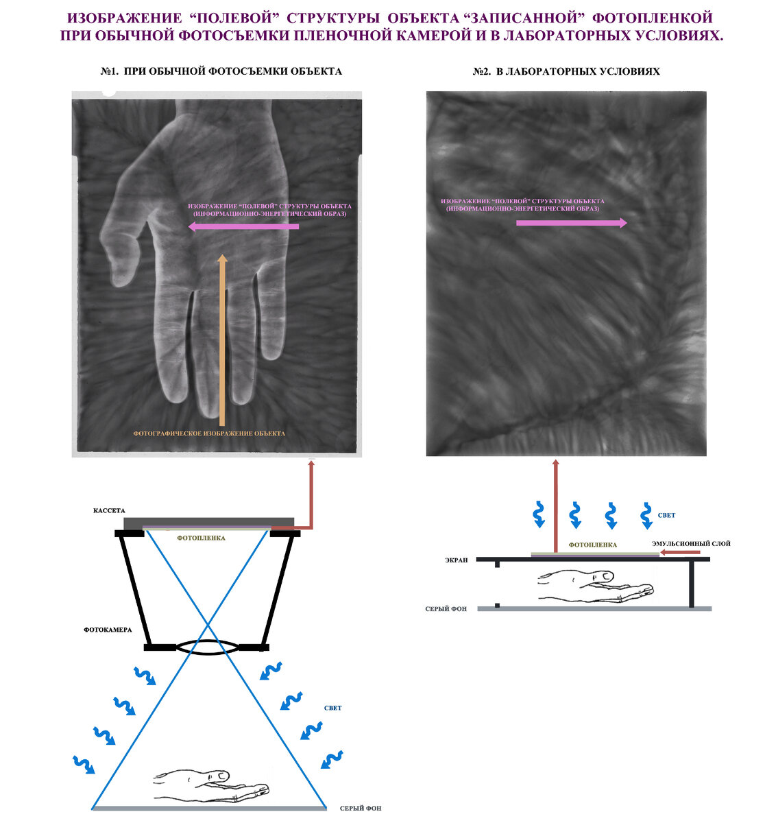 Рис. 1.   Различные способы "записи" информационно-энергетической структуры объекта на фотопленку.