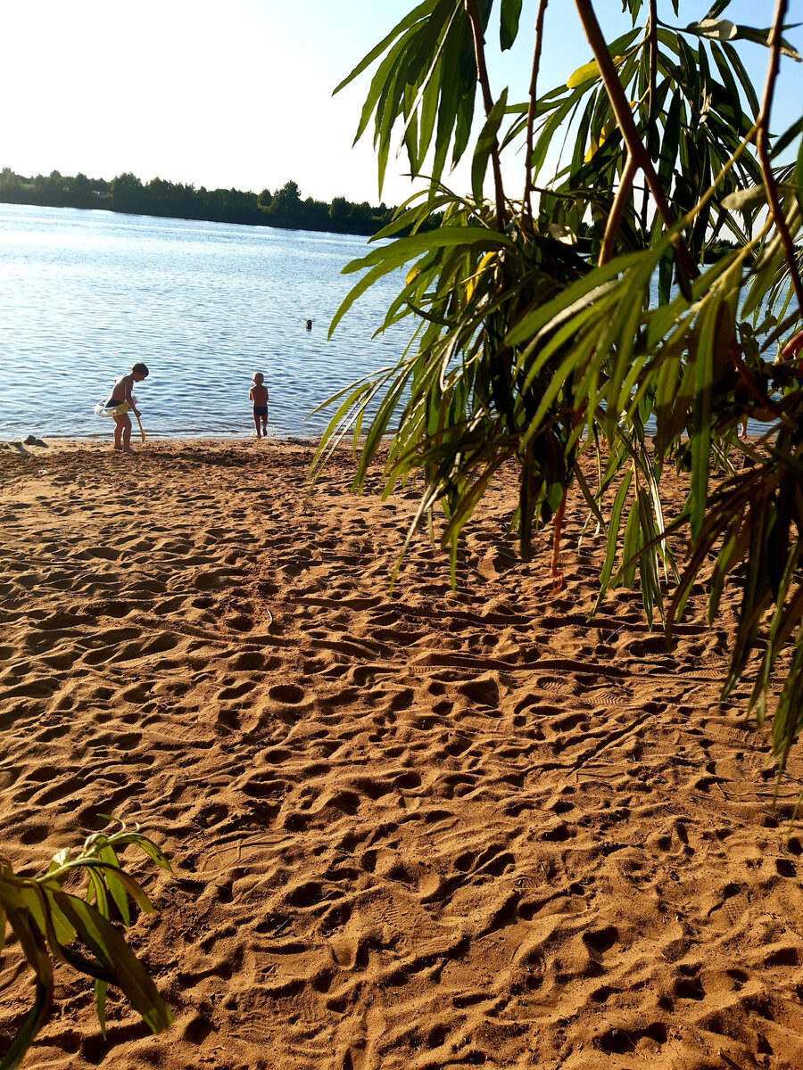 Дубненское