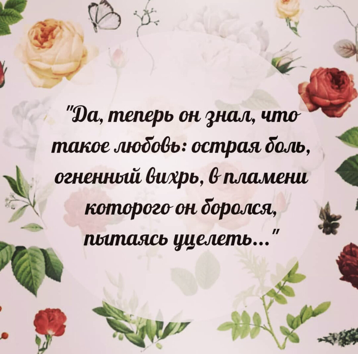 Цитата из книги