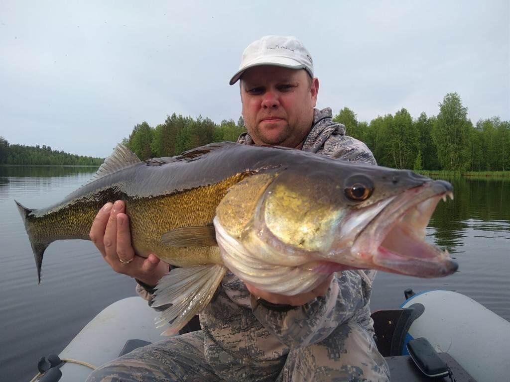 Карелия. Спиннинг. В этот раз без меня. | Max Fishing | Дзен