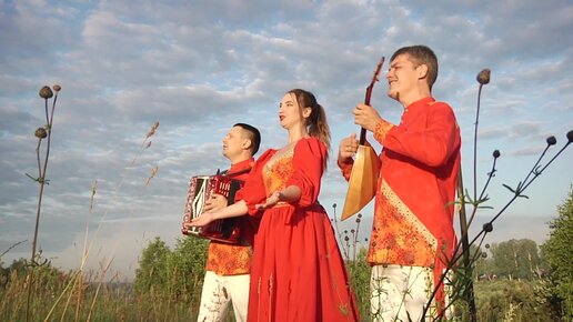 Группа веселуха калины куст