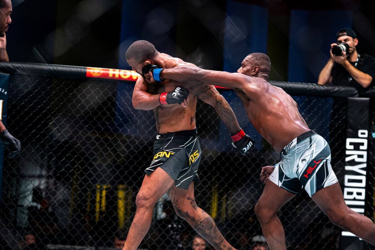 источник фото: телеграм UFC Russia