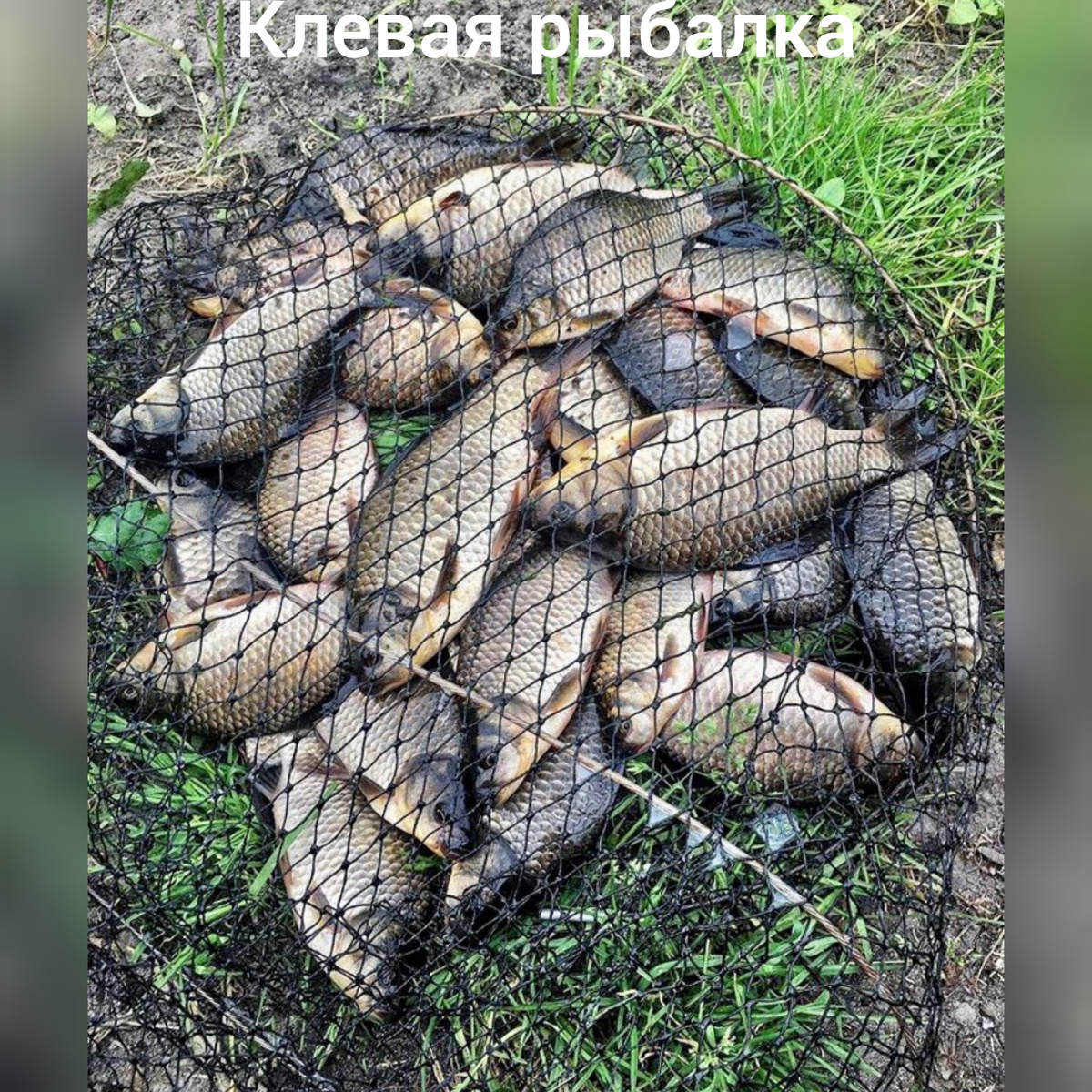 #рыбалканакарася 