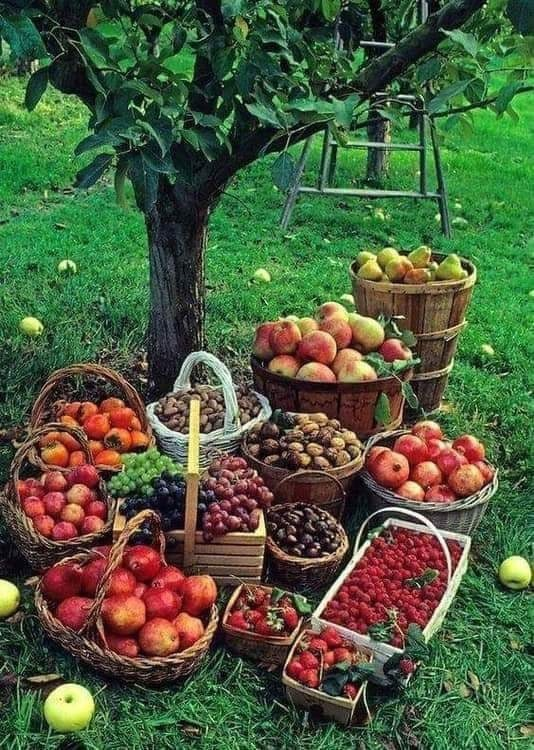 Фото из сети