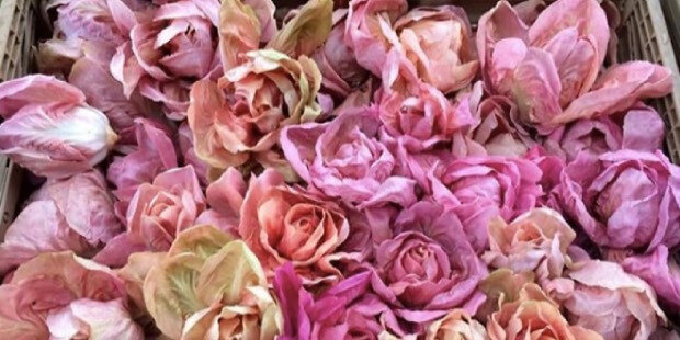 Sunt greu de cumpărat, uneori arată neobișnuit și costă întotdeauna mulți bani.  Ce au toate aceste produse în comun?-13